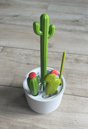 Boon - Goupillon cactus