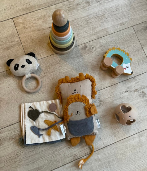 Lot de jouets premier âge